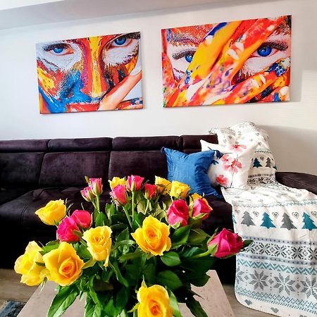 Apartament Jelonek W Karkonoszach Jelenia Góra Εξωτερικό φωτογραφία