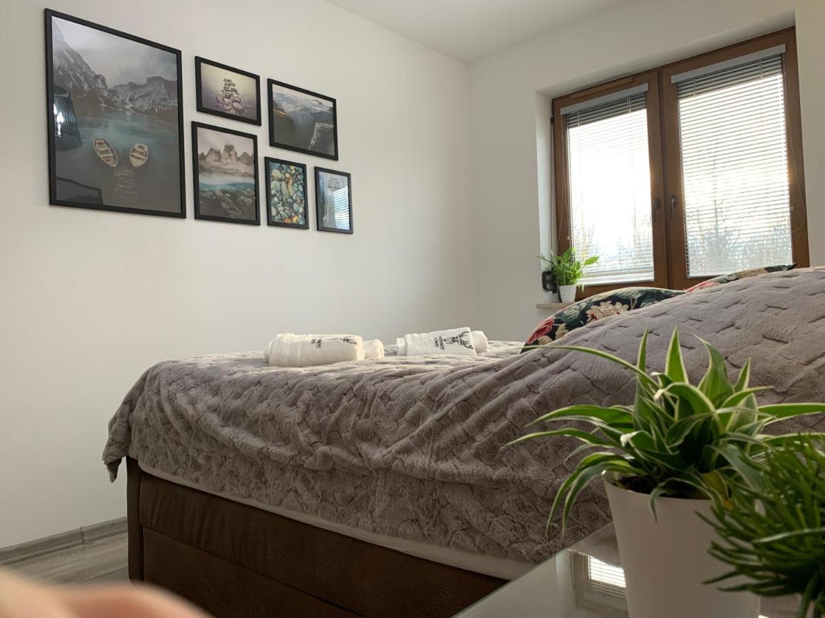 Apartament Jelonek W Karkonoszach Jelenia Góra Εξωτερικό φωτογραφία